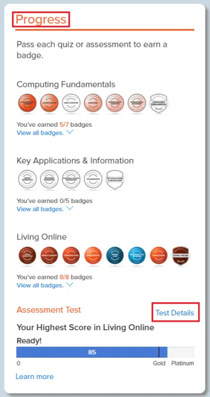 Click “Click “Test Details” to access your Computer Essentials Scores.